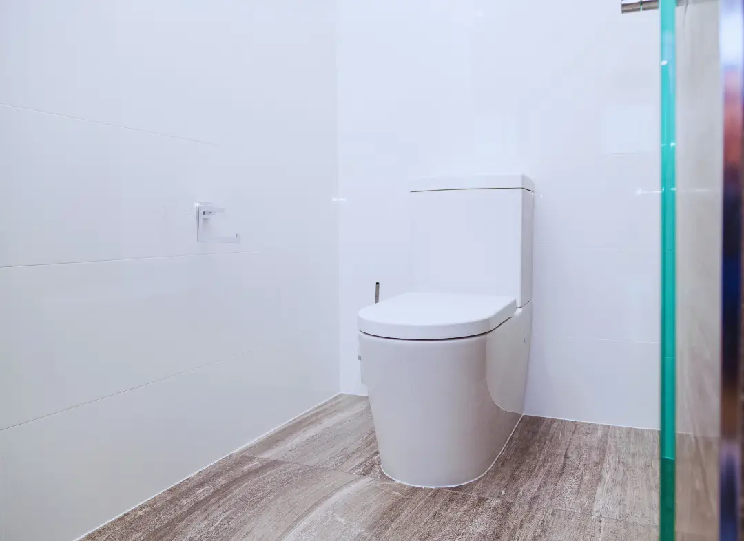 Remplacement de wc Gratentour