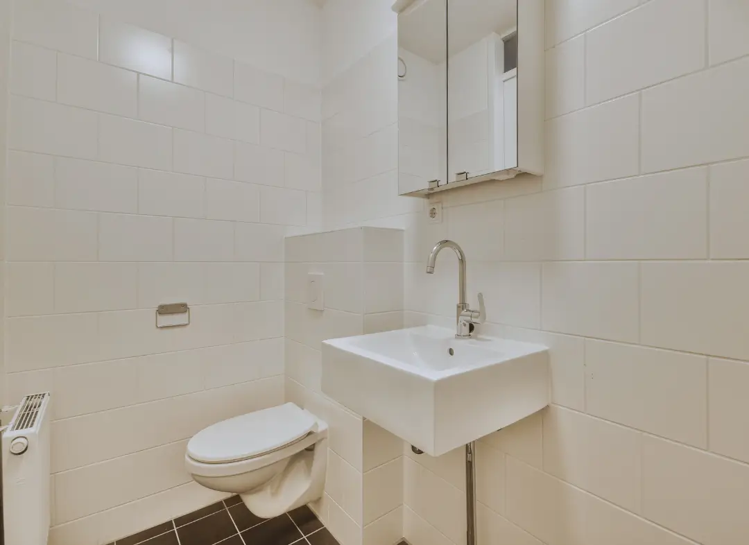 Pose WC Suspendu Gratentour